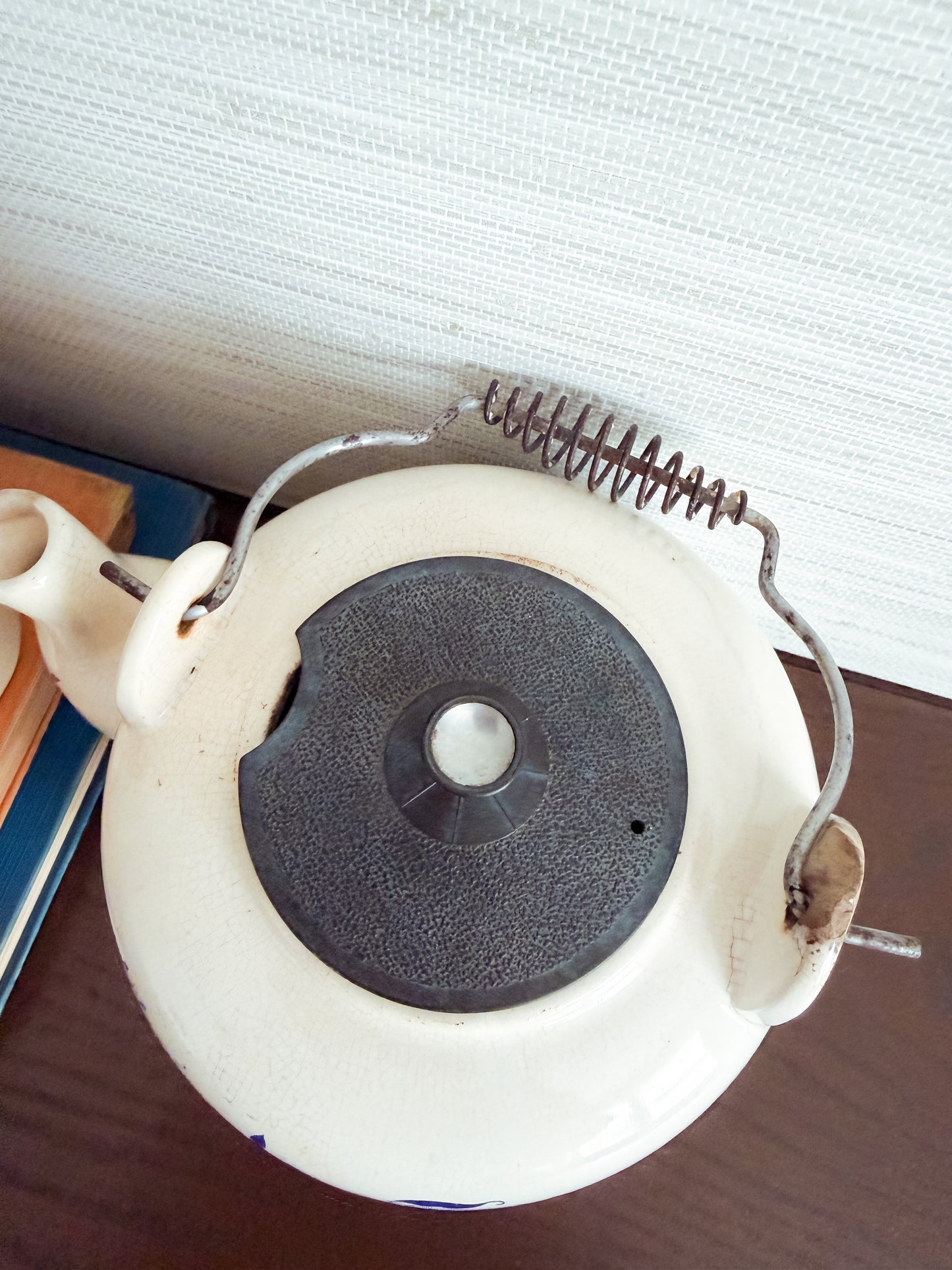 The Meissen Garden — Blue Onion Teapot
