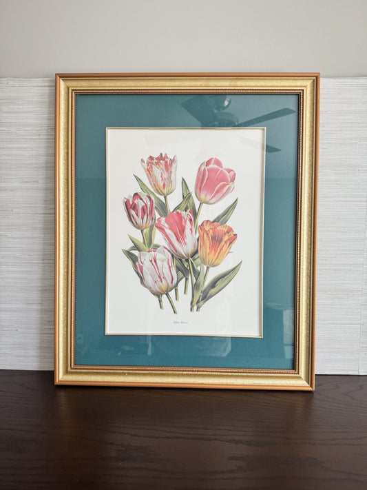 Tulipes Hâtives — Large Framed Botanical Tulip Print