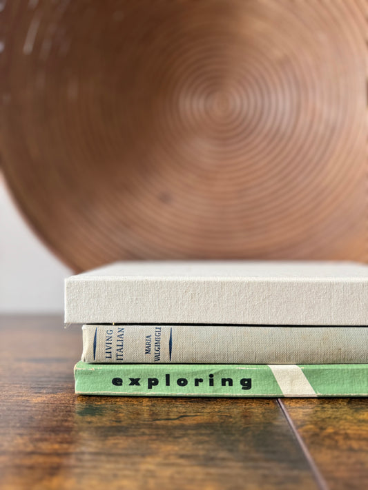The Wanderer’s Stack — Curated Vintage Book Set of Three