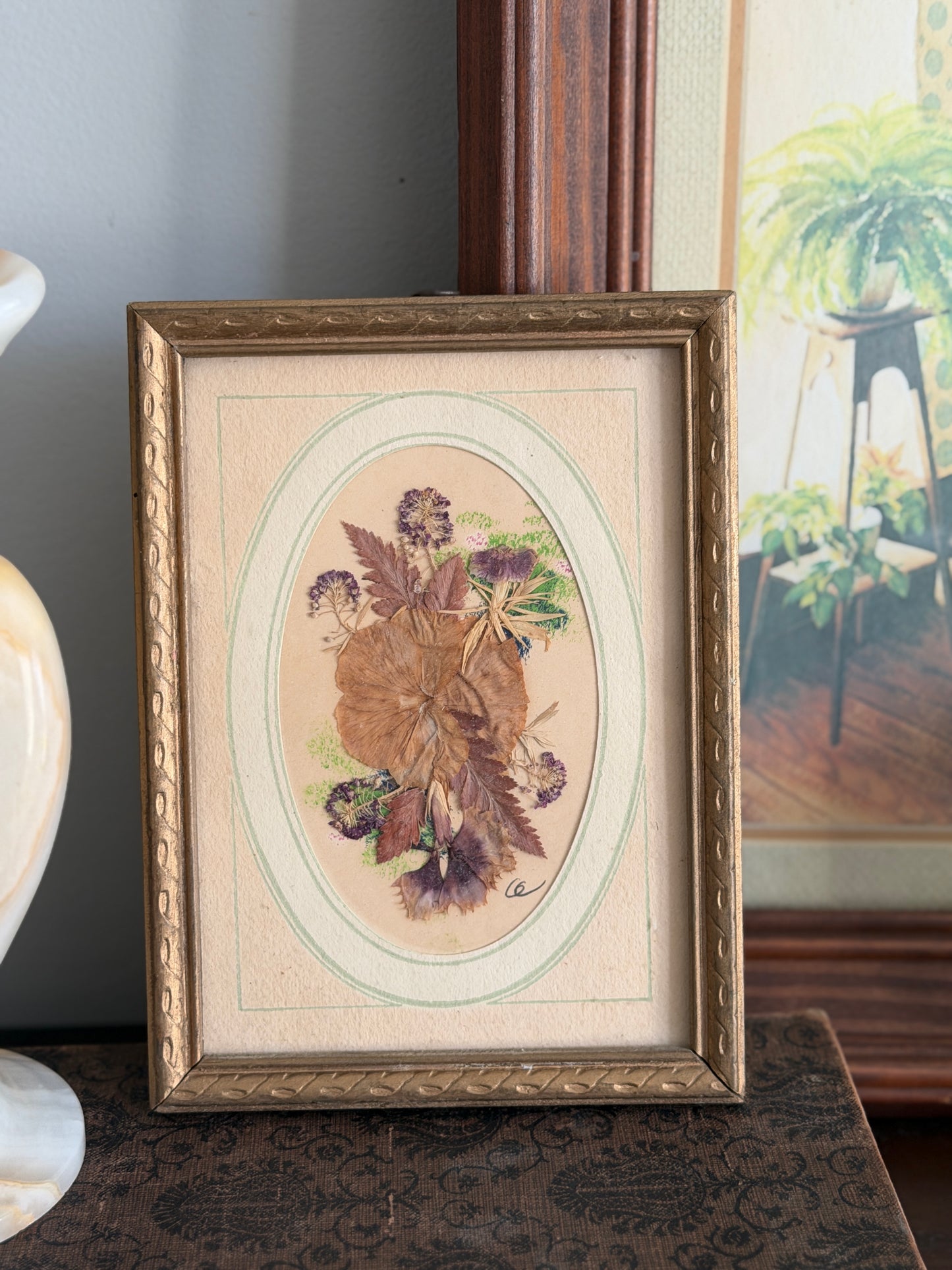 The Herbarium — Vintage Pressed Botanical Art