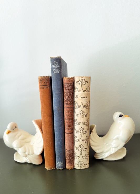Wings & Words — Vintage Ceramic Dove Bookends with Four Antique Books