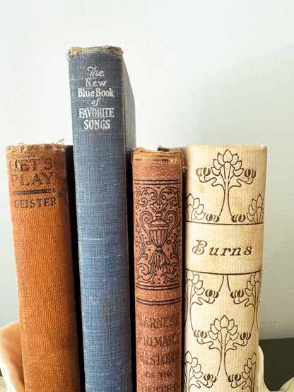 Wings & Words — Vintage Ceramic Dove Bookends with Four Antique Books