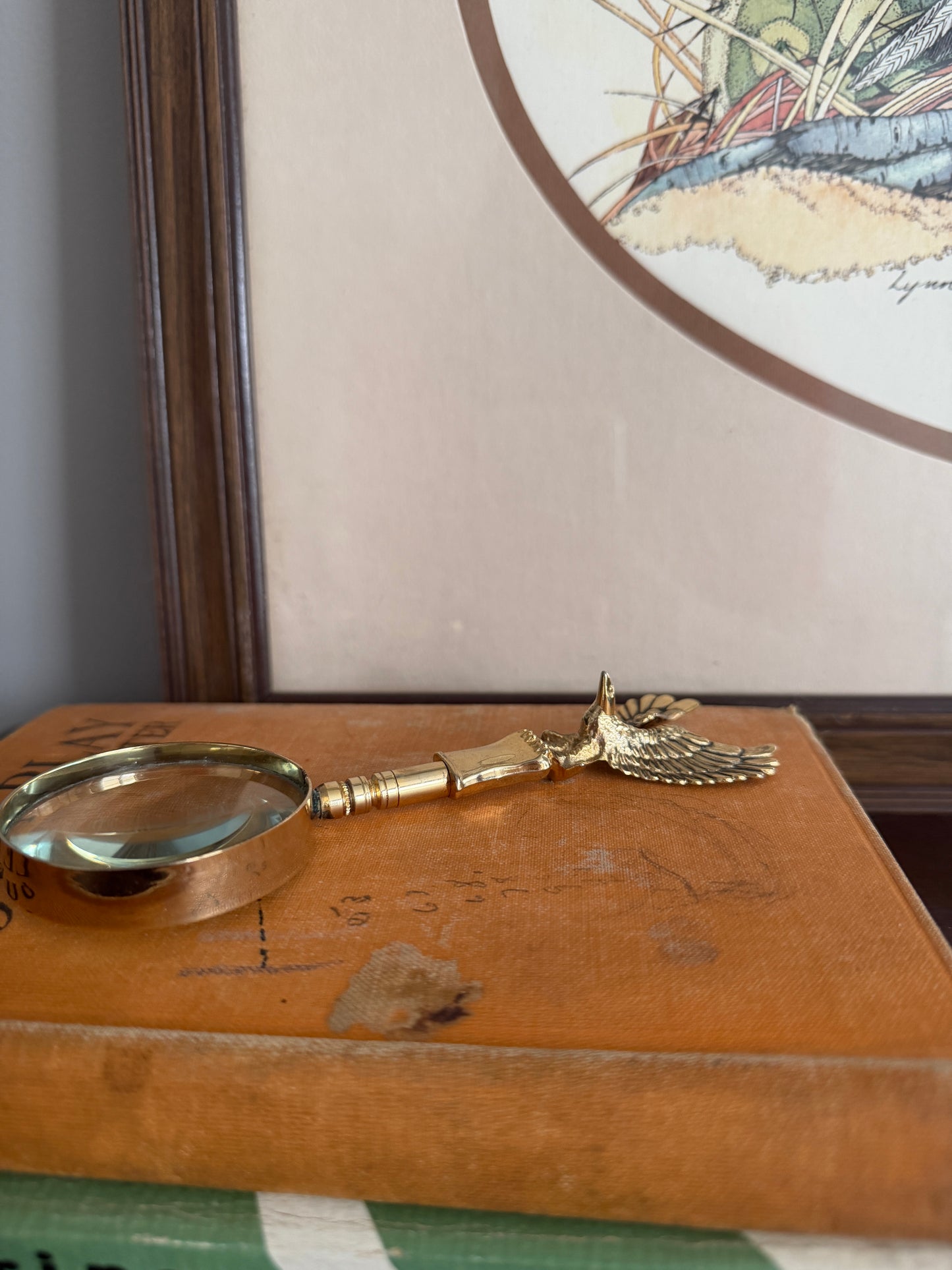 The Lookout — Brass Federal Eagle Magnifying Glass