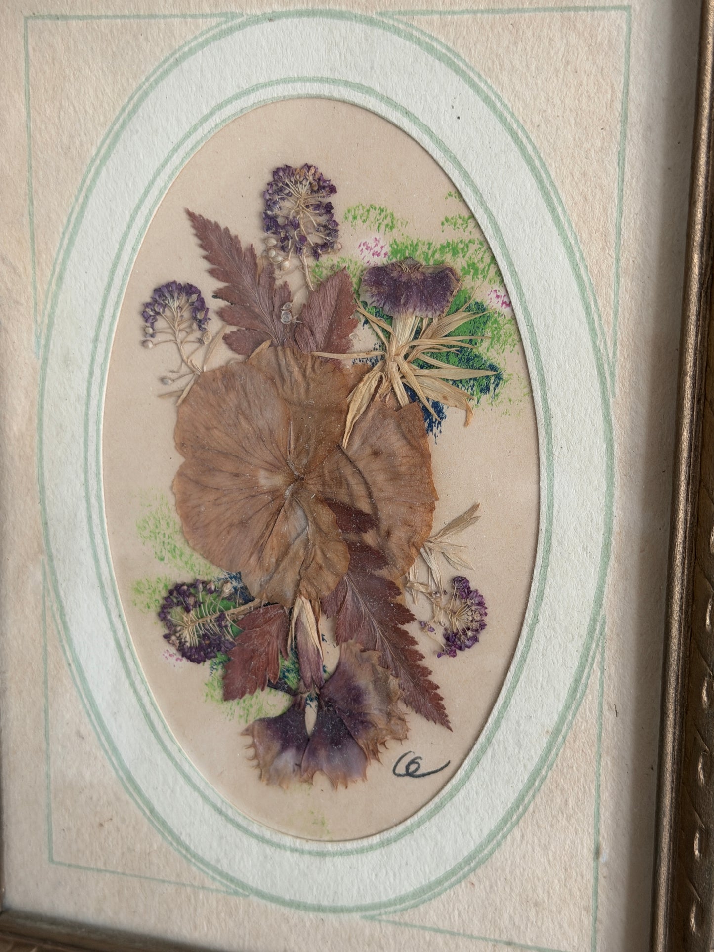 The Herbarium — Vintage Pressed Botanical Art