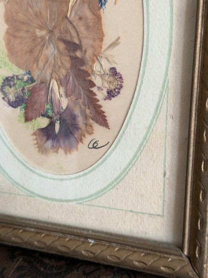 The Herbarium — Vintage Pressed Botanical Art