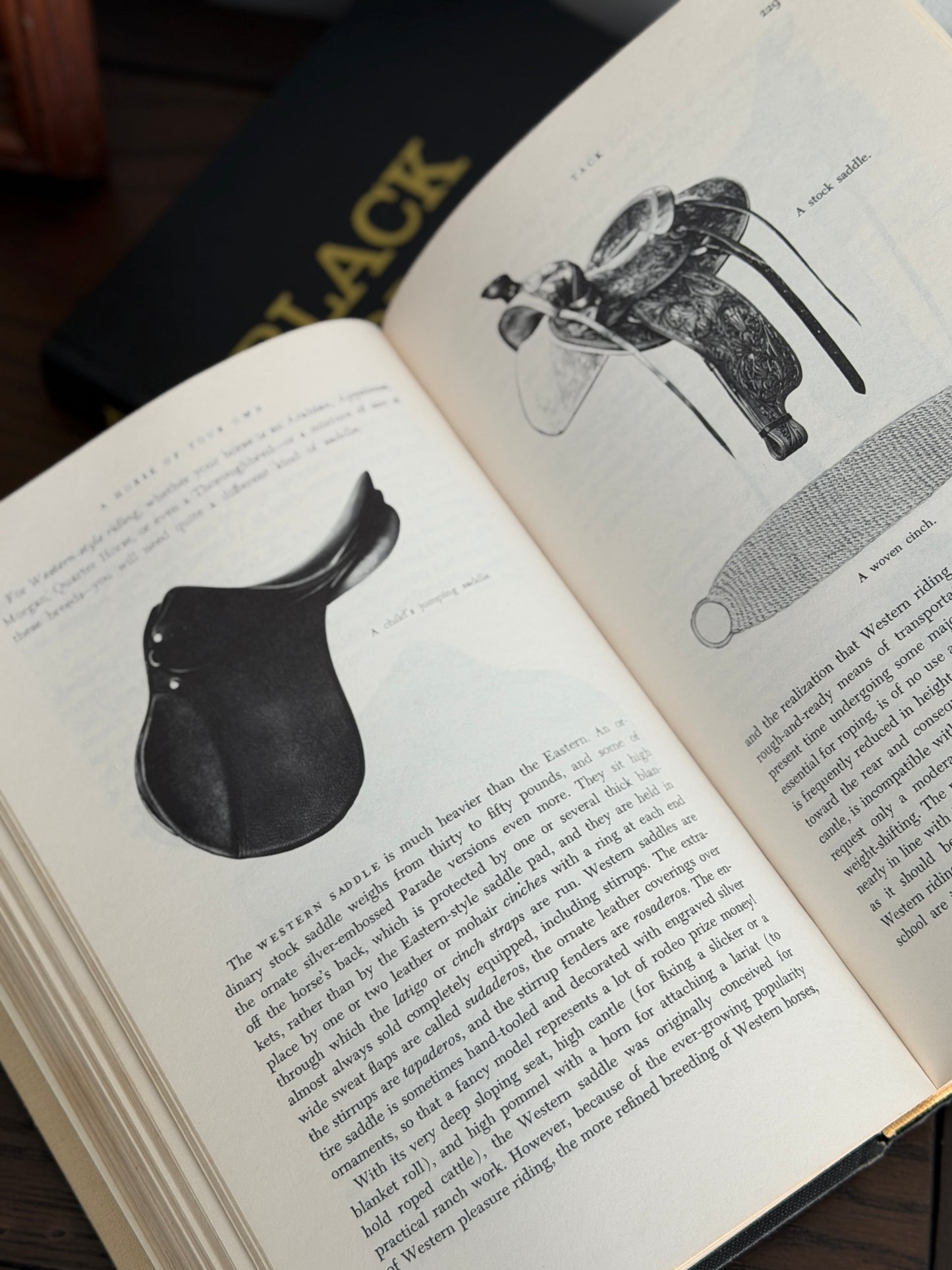 The Derby Pair — 1925 & 1957 Book Stack
