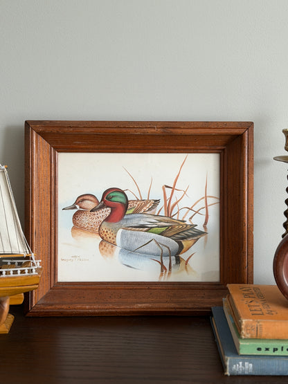 Green-Winged Teals — Gregory F. Messier Framed Print