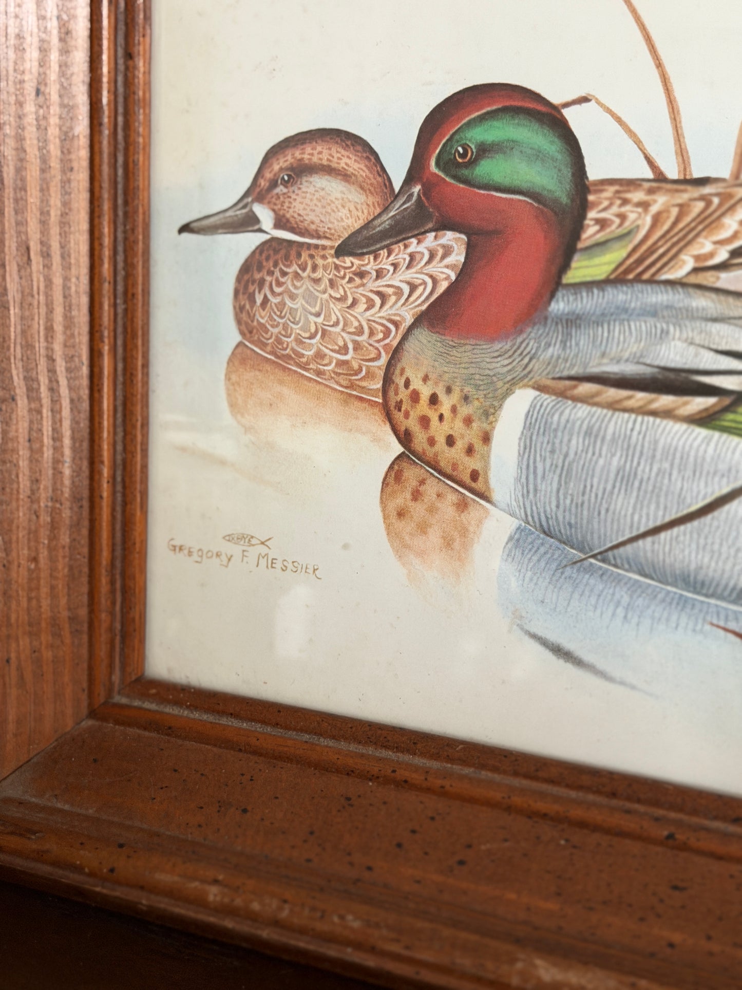 Green-Winged Teals — Gregory F. Messier Framed Print