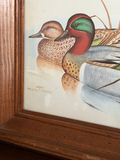 Green-Winged Teals — Gregory F. Messier Framed Print