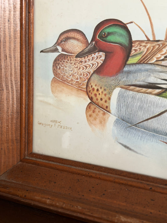 Green-Winged Teals — Gregory F. Messier Framed Print